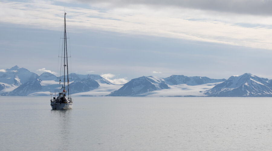 Snow bear anchored with mountains in the background