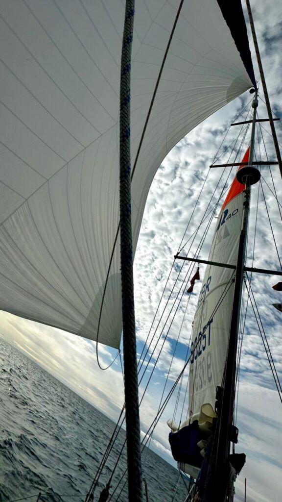 Pictures of the sails