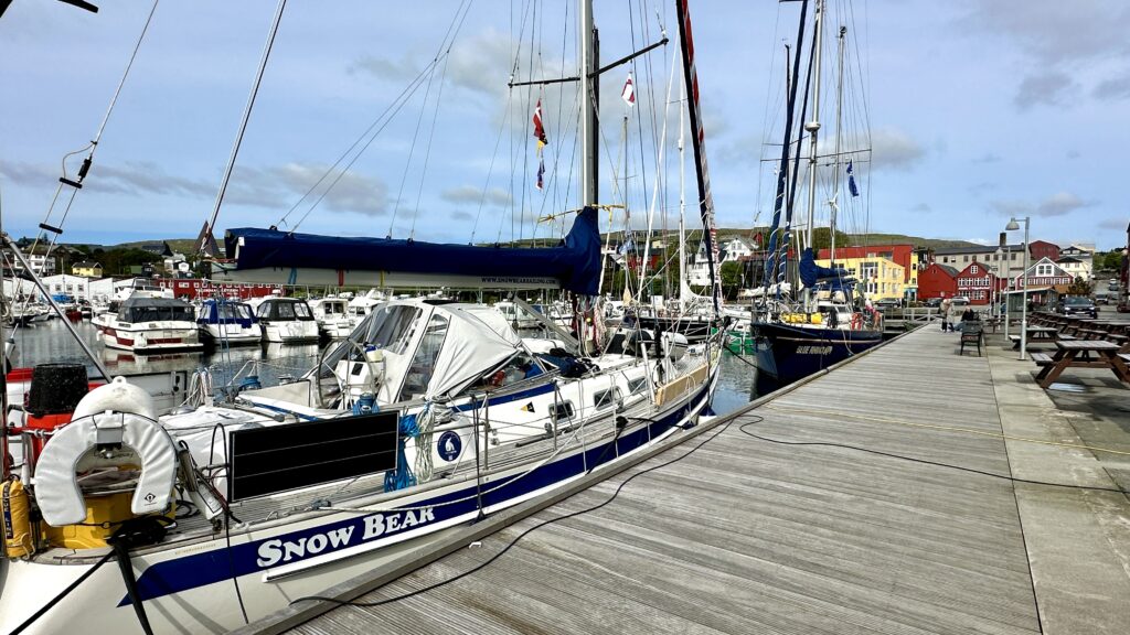 Snow bear in the Torshavn marina