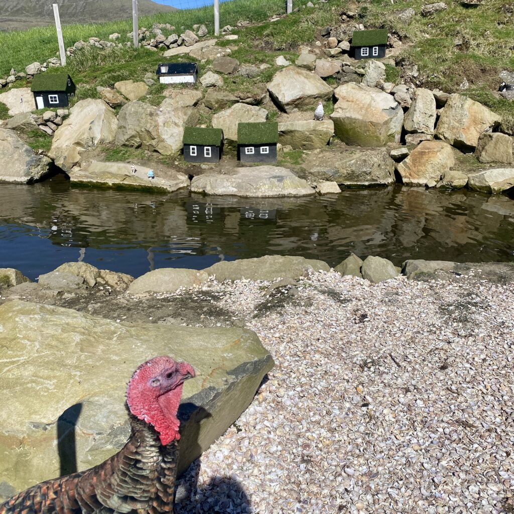 Turkey and small houses at lake