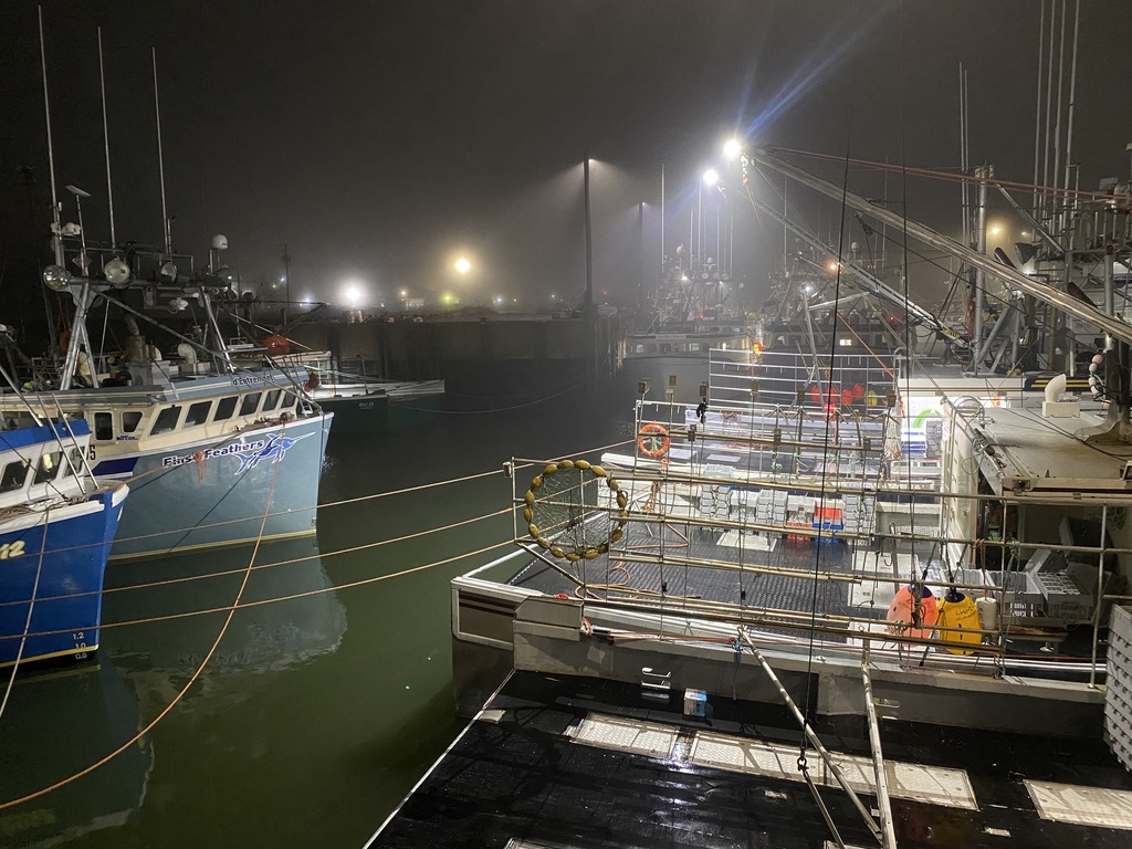 Lobster boats in the harbour