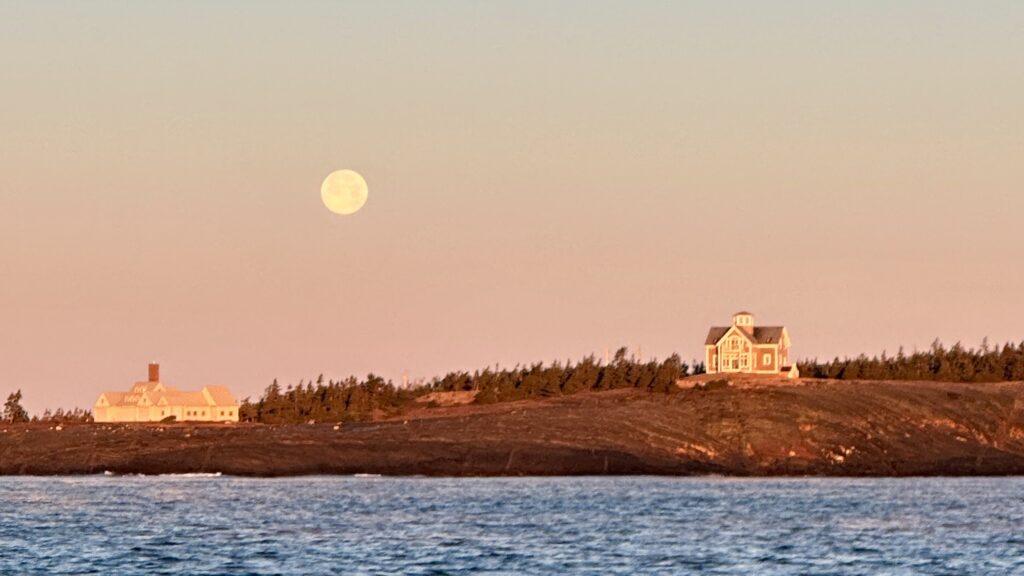 Big moon on pink sky